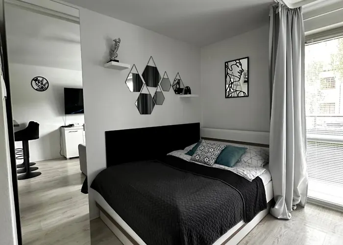 Charming Apartment Plock